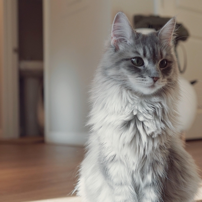 media/albums/cat3/5-yihui-2.jpeg